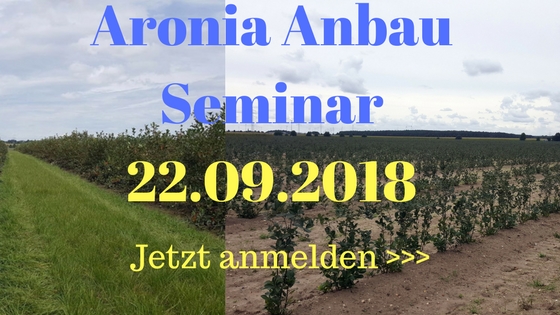 Aronia Anbau Seminar 22.09.2018